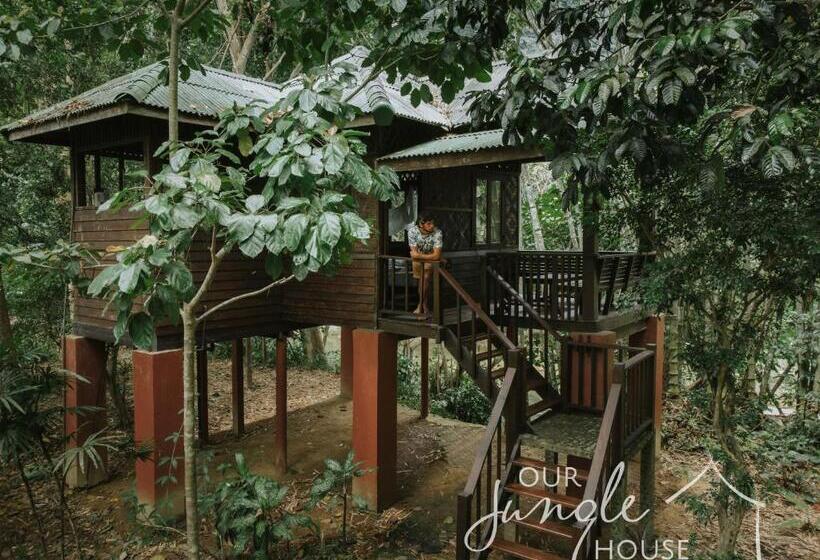 Бунгало Стандарт, Our Jungle House