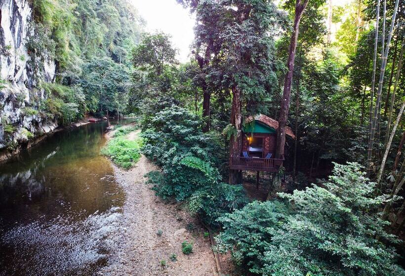 Дом 1 Спальня, Our Jungle House