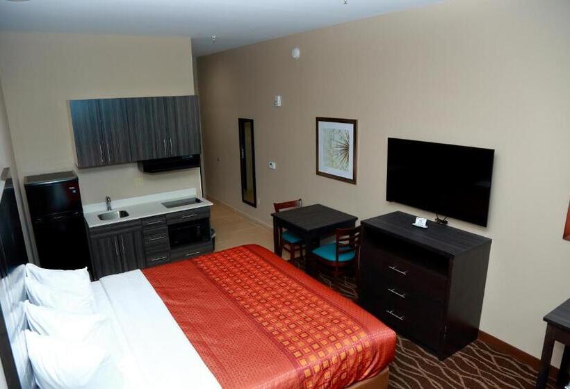 스탠다드 룸 킹사이즈 침대, Americas Best Value Inn & Suites Prairieville