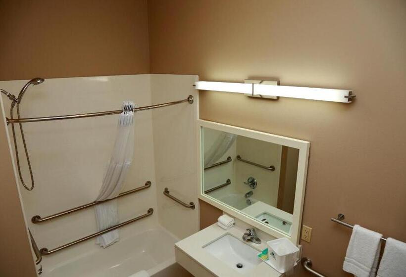 장애인을 위한 킹사이즈 침대 스탠다드 룸, Americas Best Value Inn & Suites Prairieville