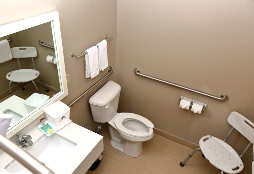 스탠다드 룸 더블 침대, Americas Best Value Inn & Suites Prairieville
