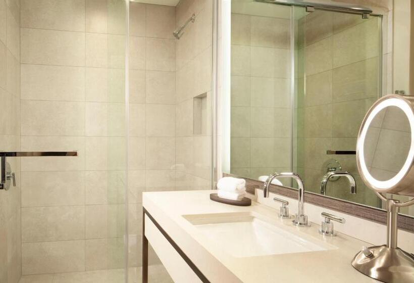 适合残疾人士使用的带超级大床的标准间, Hyatt Regency Frisco Dallas
