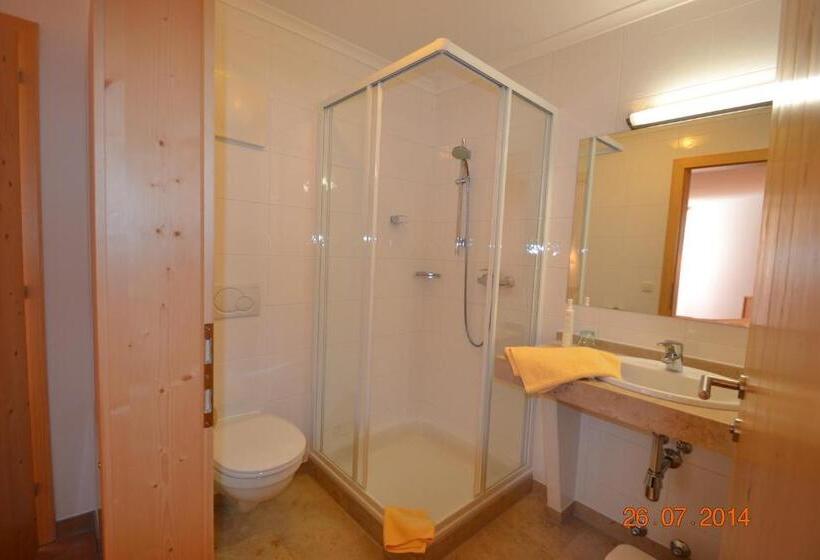 Апартаменты 1 Спальня с Террасой, Appartement Hotel Sonneck