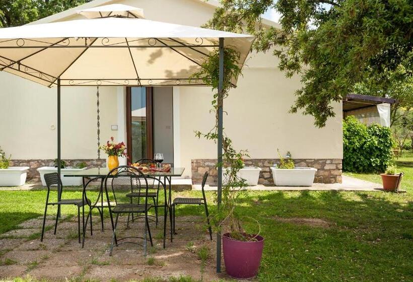 Номер Basic, Artemisia Negli Ulivi B&b