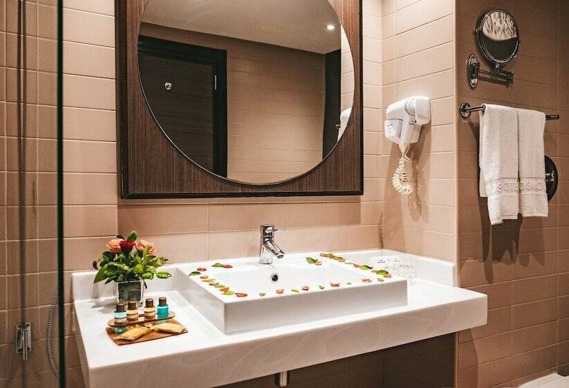 اتاق استاندارد با چشم‌انداز دریا, Rosa Beach Thalasso and Spa