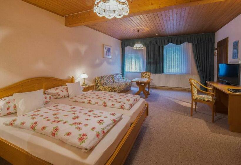 Номер Стандарт Индивидуальный, Landgasthof Rieger
