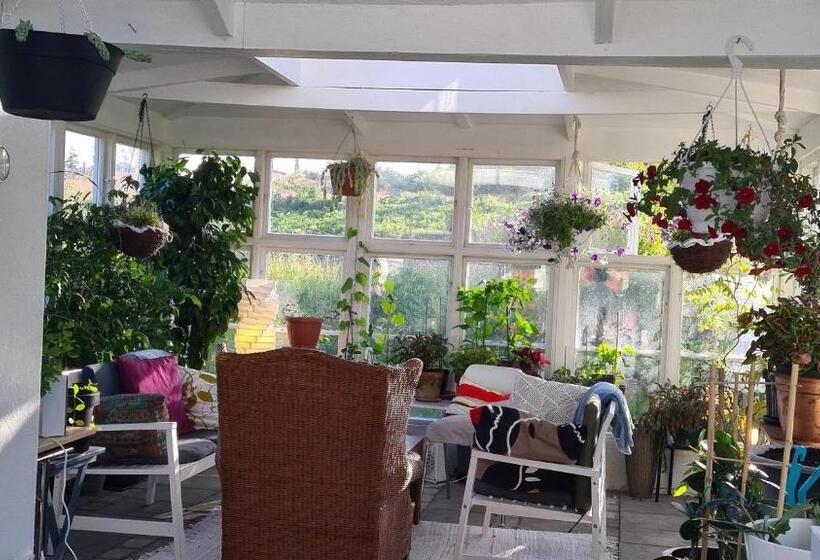 اتاق لوکس با تخت بزرگ, Villa Luna Breakfast