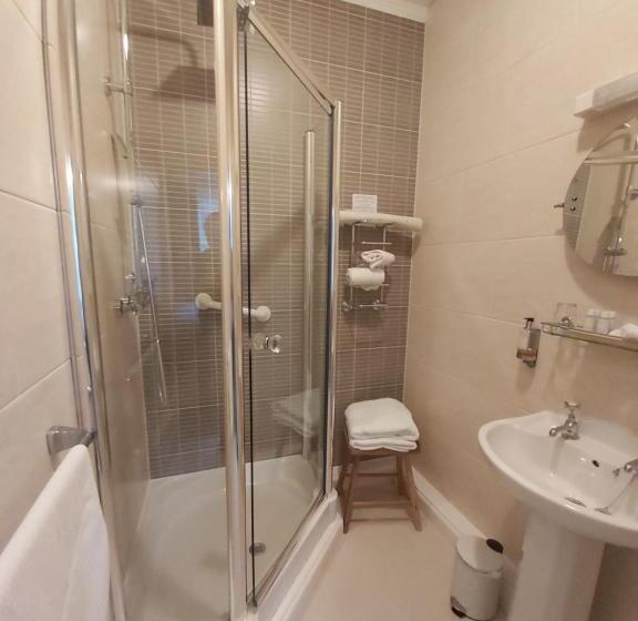 Номер Deluxe, Llys Aeron Guest House