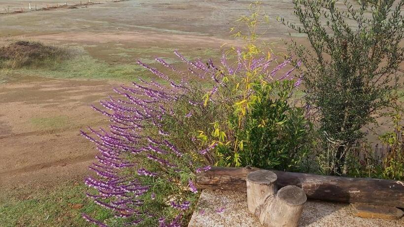 سوئیت با بالکن, Willy S Country Club Cauquenes