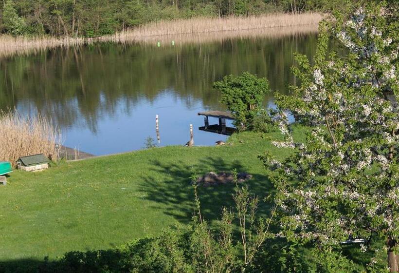 1 Bedroom Apartment Lake View, Ars Vivendi