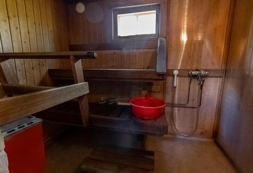 Хижина, Aurantola