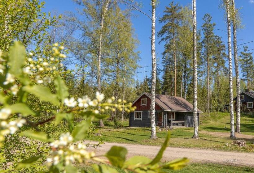 Хижина, Aurantola
