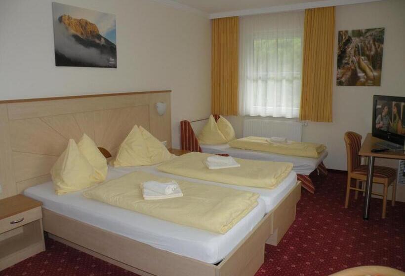 스탠다드 싱글 룸, Stiegenwirt