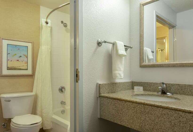 シングルデラックスルーム, Hilton Niagara Falls/fallsview Hotel & Suites