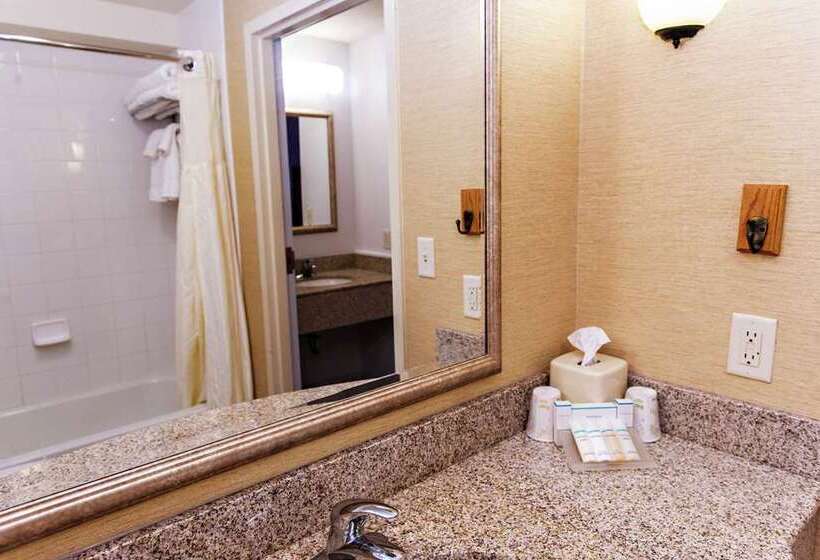 Cameră Standard cu Priveliști, Hilton Niagara Falls/fallsview Hotel & Suites