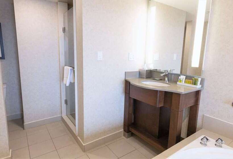 スタンダードルーム, Hilton Niagara Falls/fallsview Hotel & Suites