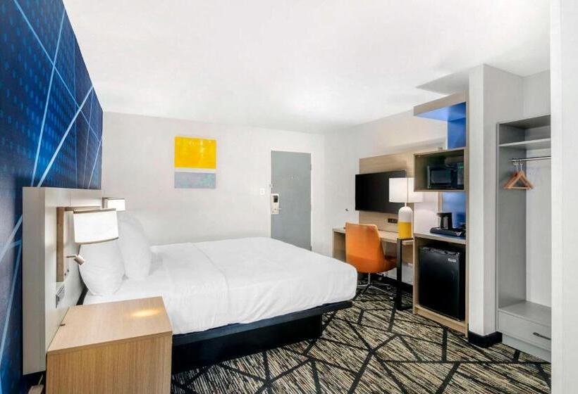 带大床的标准间, Comfort Inn