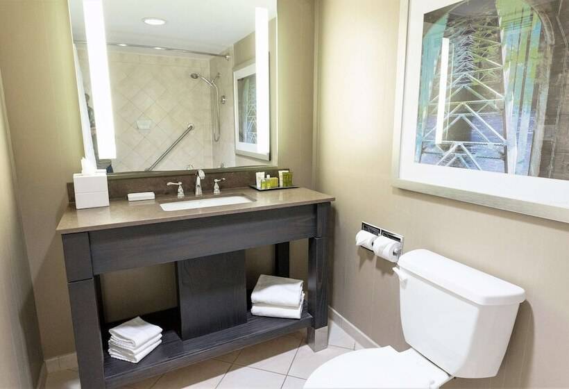 デラックススイート２ベッドルーム, Hilton Niagara Falls/fallsview Hotel & Suites