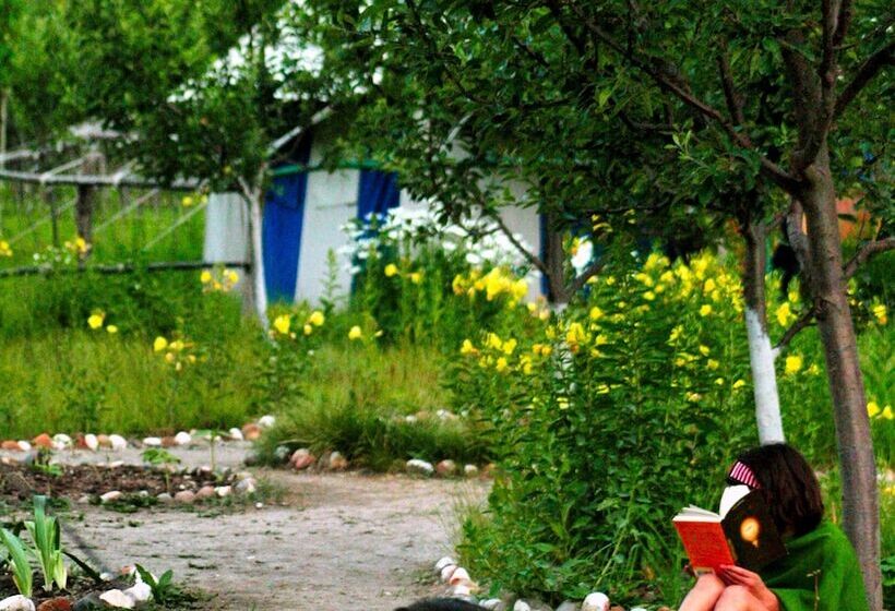 Deluxe Tent, Banjara Camp And Retreat Sangla