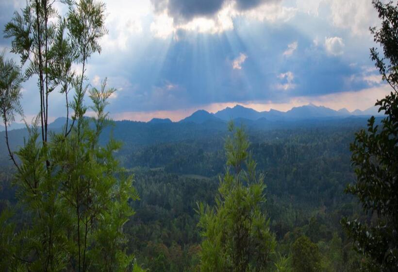 带大床的标准间, Coorg Cliffs Resorts