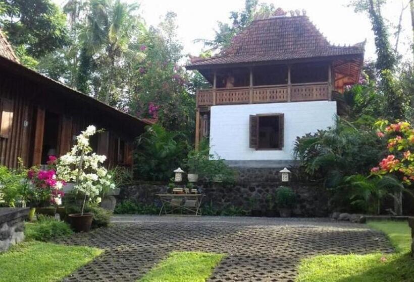エコノミールーム, Bukit Asri Lodge