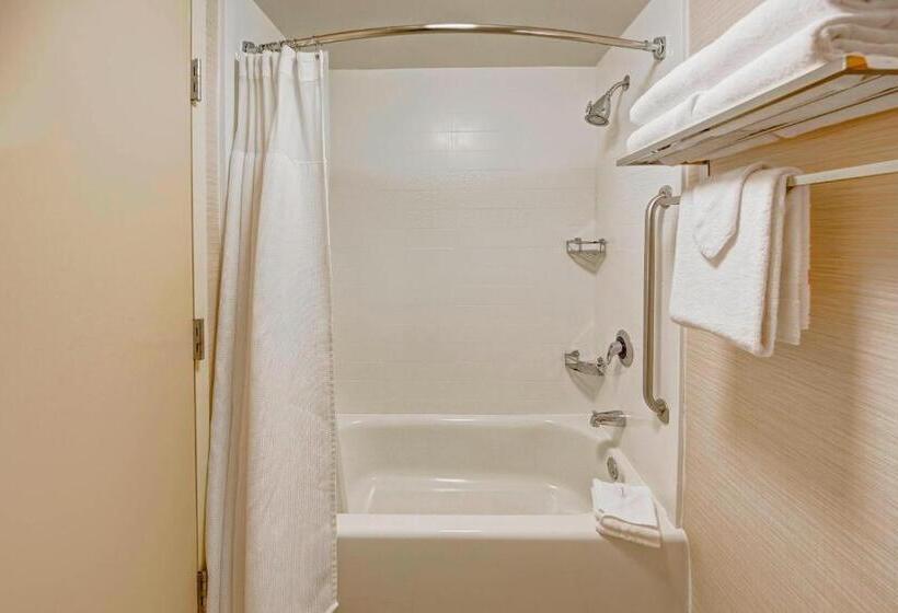 스탠다드 룸 킹사이즈 침대, Fairfield Inn And Suites By Marriott Orlando Near Universal Orlando