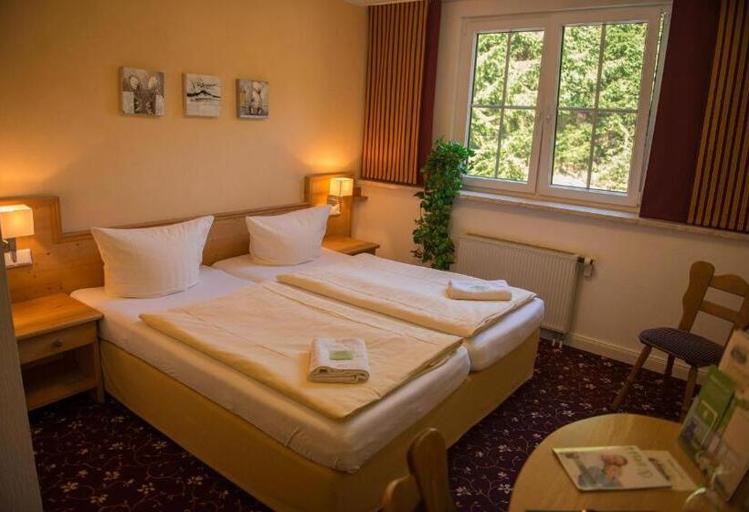 Трехместный Номер Базовый, Flair Waldhotel Mellestollen