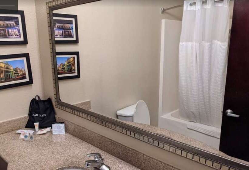 Люкс, Comfort Suites Mobile East Bay