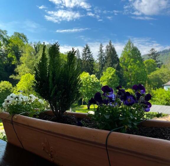 Номер Стандарт с Балконом, Park Villa Zentral Am Mittelrhein   Zimmer & Apartments