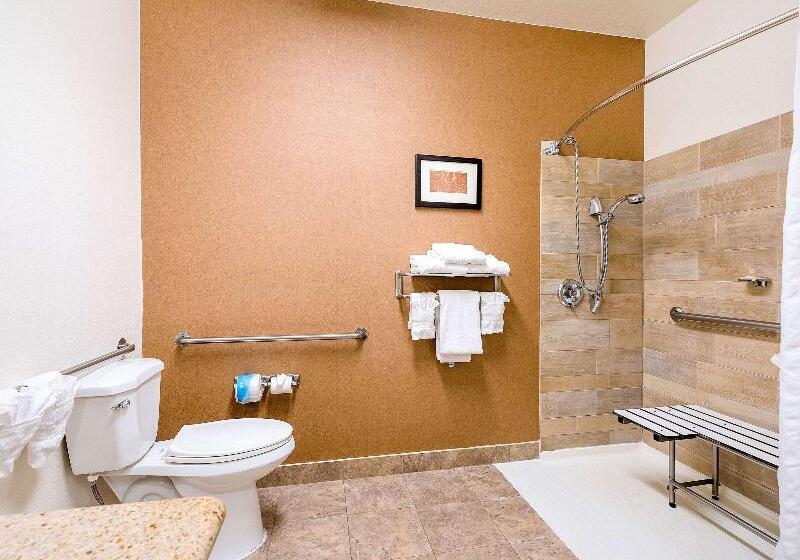 Люкс Кровать Кинг, Comfort Suites Golden West On Evergreen Parkway