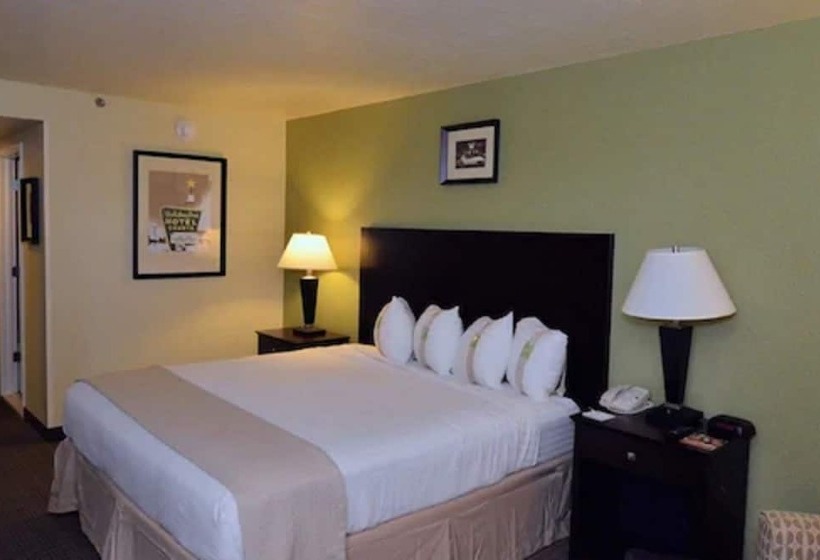 スタンダードルーム, Holiday Inn   Fort Myers   Downtown Area, An Ihg