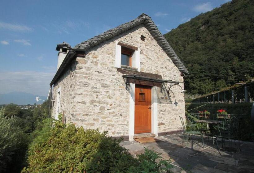 سوییت, Fattoria L'amorosa