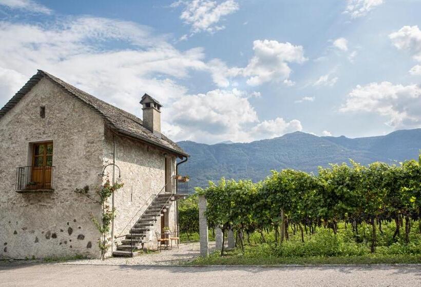 اتاق استاندارد, Fattoria L'amorosa