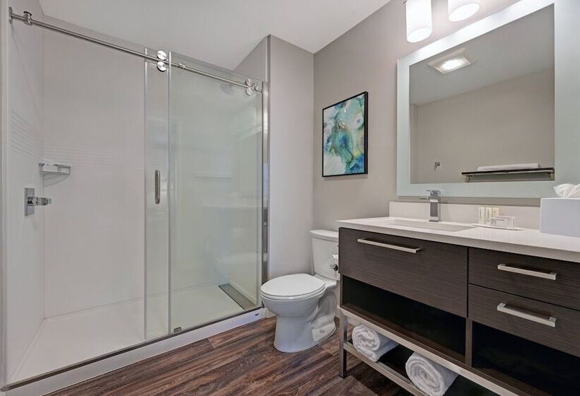 Люкс, Towneplace Suites Sacramento Airport Natomas