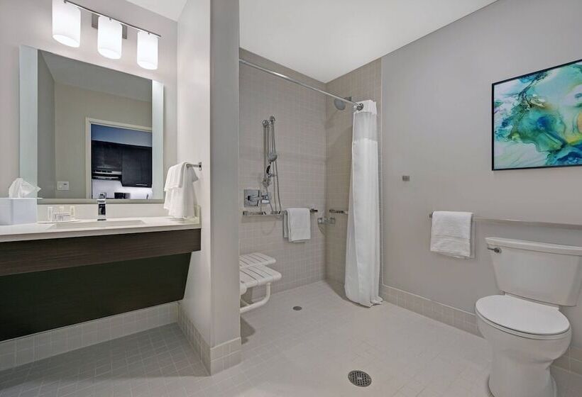 Люкс, Towneplace Suites Sacramento Airport Natomas