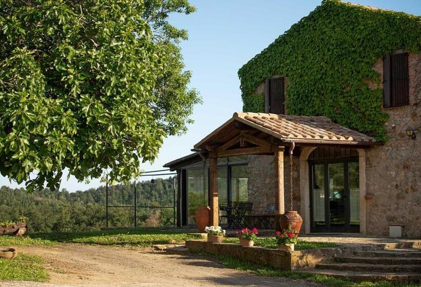 Номер Стандарт Индивидуальный, Agriturismo Bio Le Macchie Alte