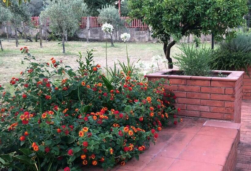 اتاق استاندارد, Villa Carolea