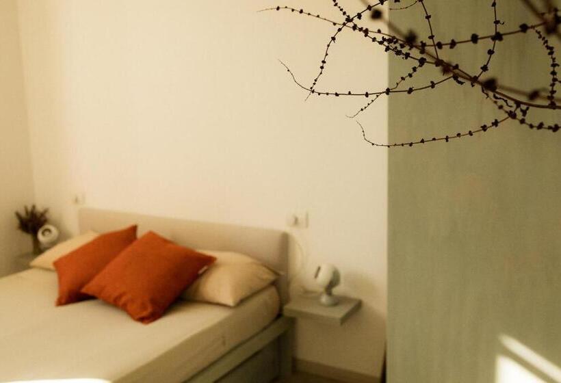Quarto Estandar, Casale Alle Vigne