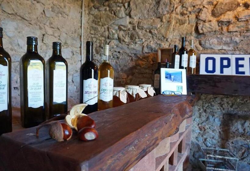 آپارتمان 1 خوابه, Agriturismo Le Vallilunghe