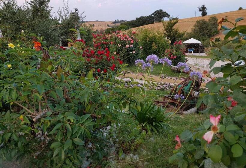 Апартаменты 1 Спальня Нижний Этаж, Agriturismo La Stradaccia