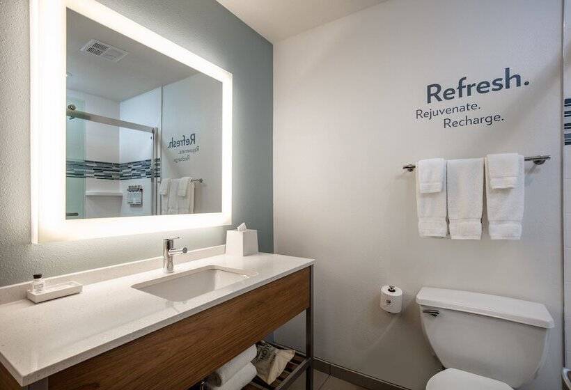 스위트, Even Hotels Denver Tech Center Englewood, An Ihg