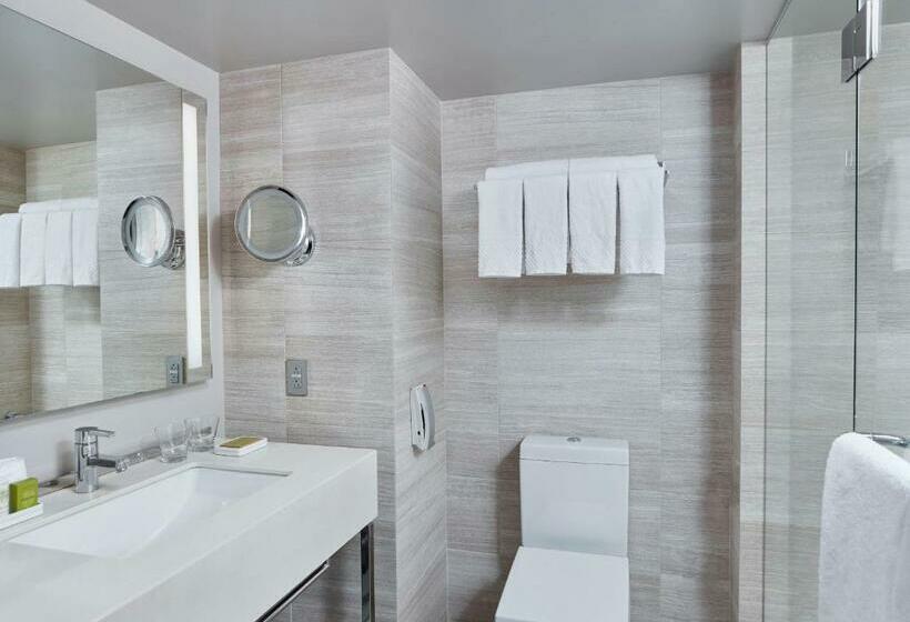 带城市景观的标准间, Millennium Hilton New York One Un Plaza
