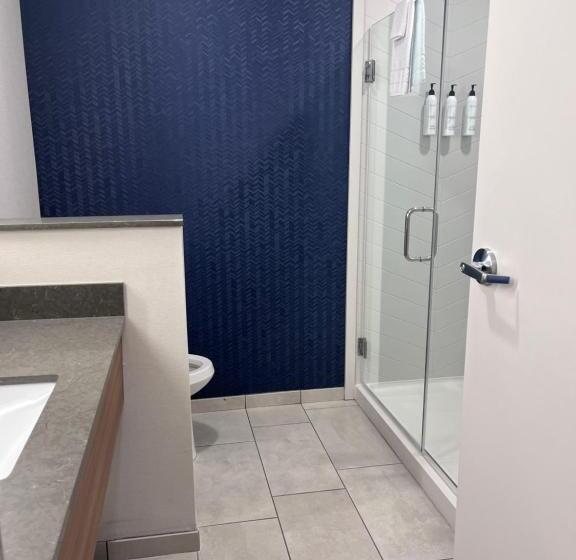 스탠다드 룸 킹사이즈 침대, Fairfield Inn & Suites By Marriott Oskaloosa