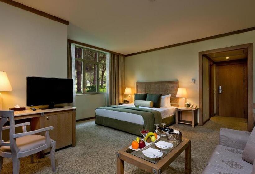 Полулюкс, Gloria Verde Resort