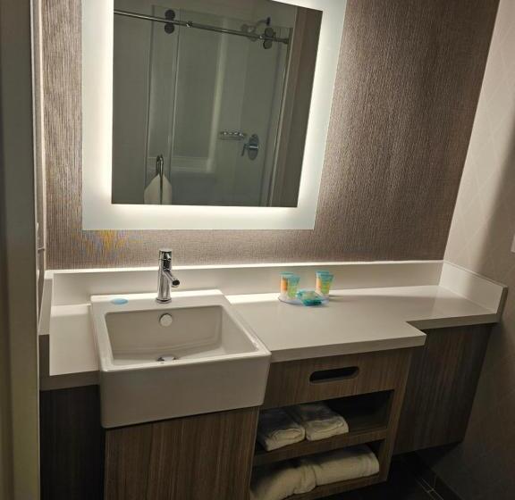 Люкс Кровать Кинг, Springhill Suites By Marriott Freeport Brunswick