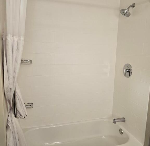 Люкс, Springhill Suites By Marriott Freeport Brunswick
