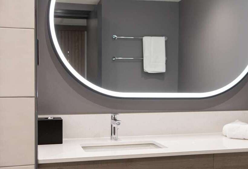 스탠다드 룸, Hilton Nottingham