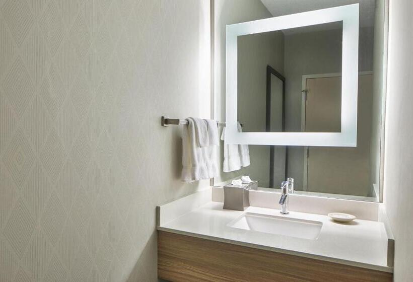 标准工作室, Springhill Suites Memphis Downtown