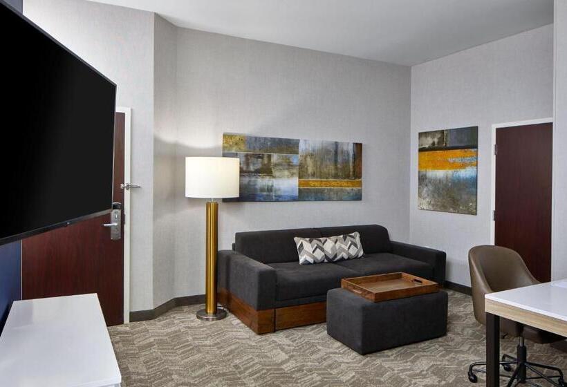 带双人床的标准工作室, Springhill Suites Memphis Downtown