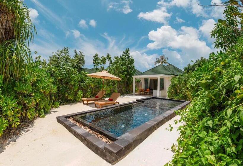 سوییت با استخر, Siyam World Maldives   24 Hour Premium All Inclusive With Free Transfer